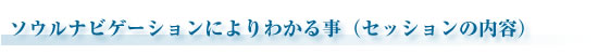 ソウルナビゲーションによりわかること