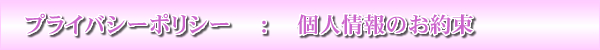 プライバシーポリシー　：　個人情報のお約束