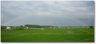 兵庫県加西市の片田舎にあります