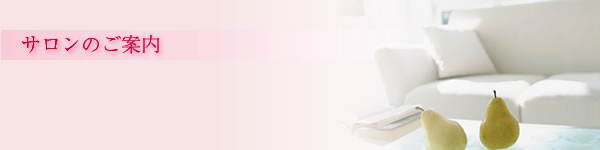 サロンのご案内