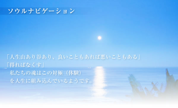 ソウルナビゲーション