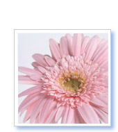 H・M様（東京都在住）