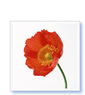 K.K様　（宮城県在住）