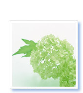 R様（北海道在住）