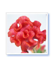 M様（福井県在住）