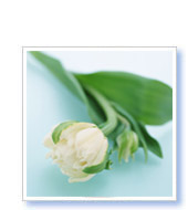 P様（兵庫県在住）