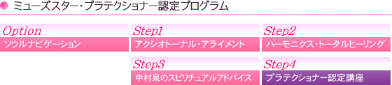 ミューズスター・プラテクショナー認定プログラム
